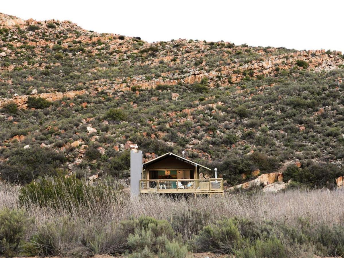Africamps At Karoo 1 Villa De Doorns Dış mekan fotoğraf