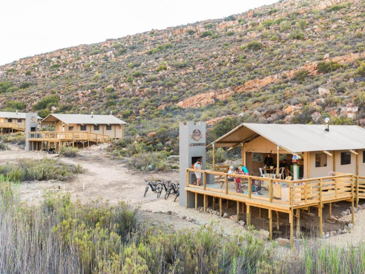 Africamps At Karoo 1 Villa De Doorns Dış mekan fotoğraf